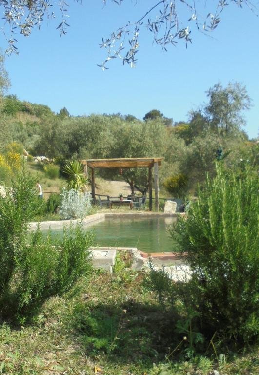 בית הארחה Seggiano 	La Casina Di Giannetto מראה חיצוני תמונה