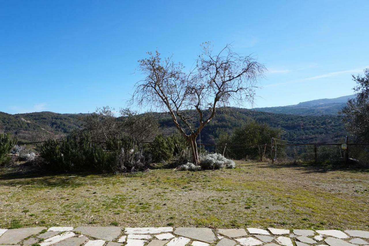 בית הארחה Seggiano 	La Casina Di Giannetto מראה חיצוני תמונה